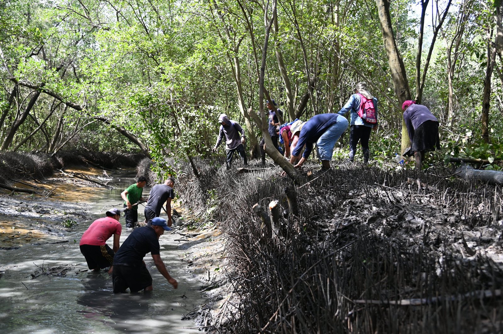 Avances en programa de restauración de lagunas de invierno Honduras