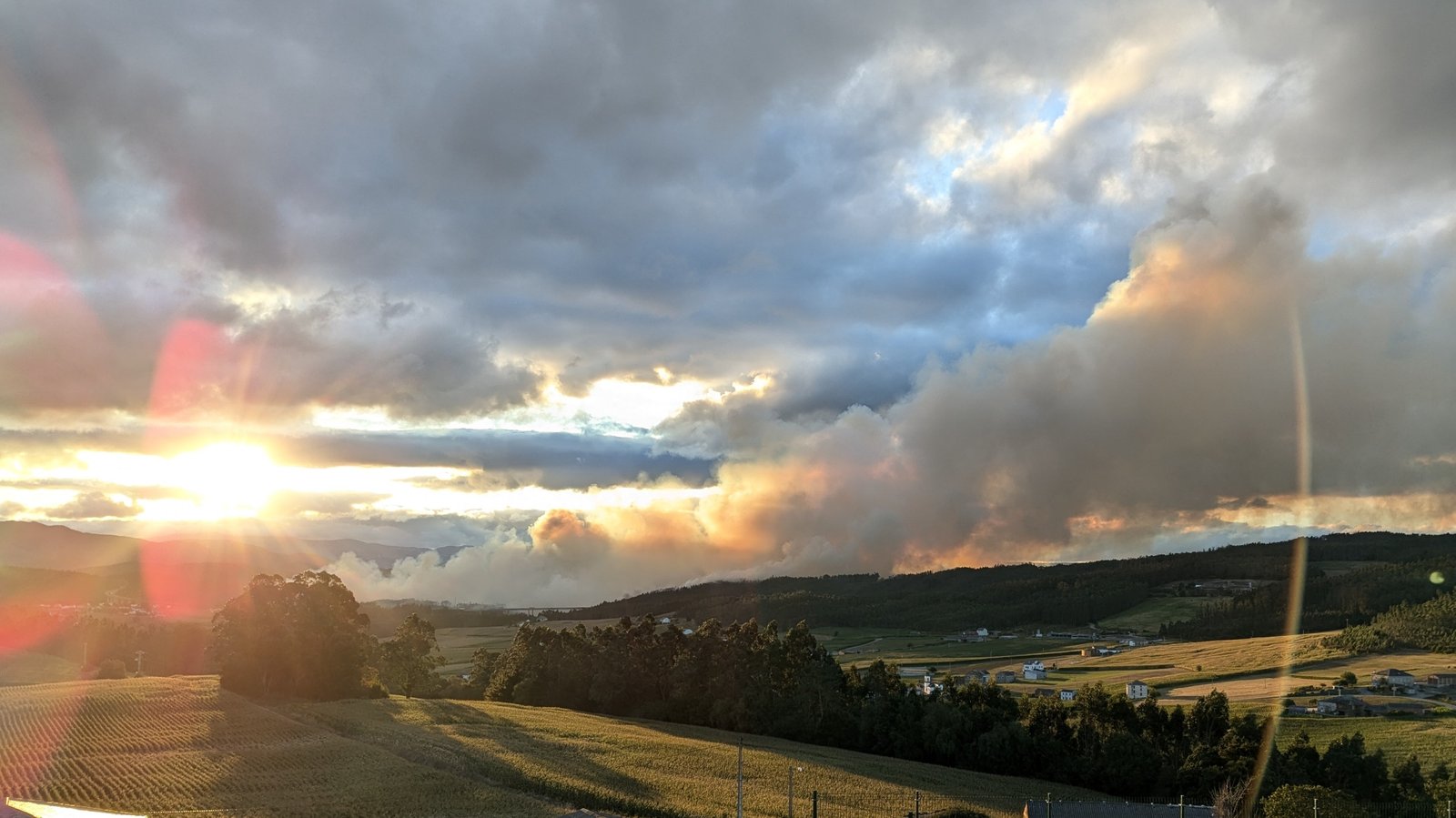 Que facer cos incendios en Galicia? 5 expertas opinan