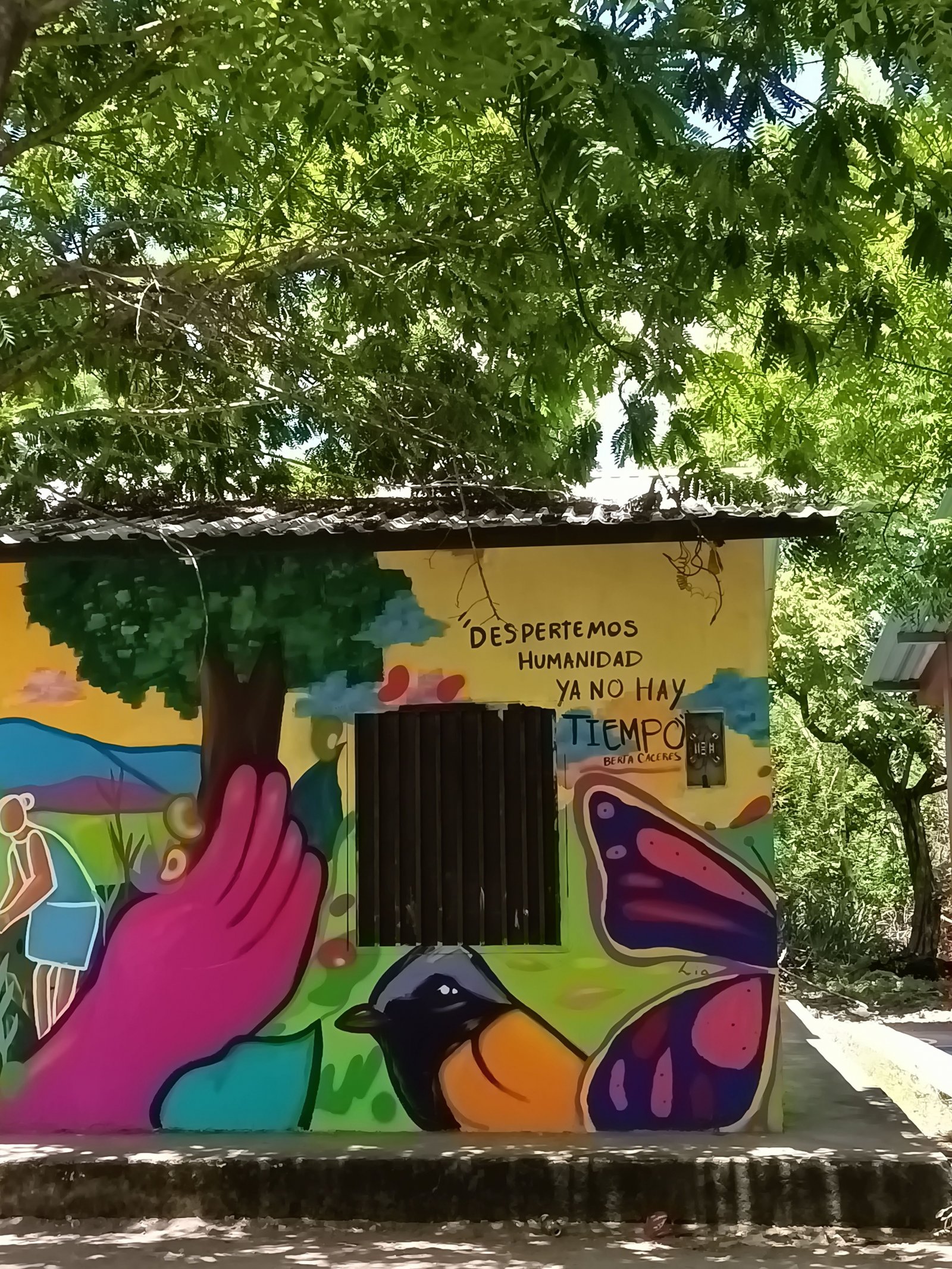 Crónicas de Honduras. Celia