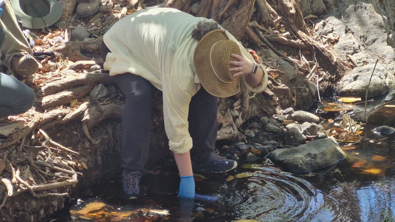Investigación sobre salud en Honduras. ¿Por qué tanta enfermedad renal crónica?