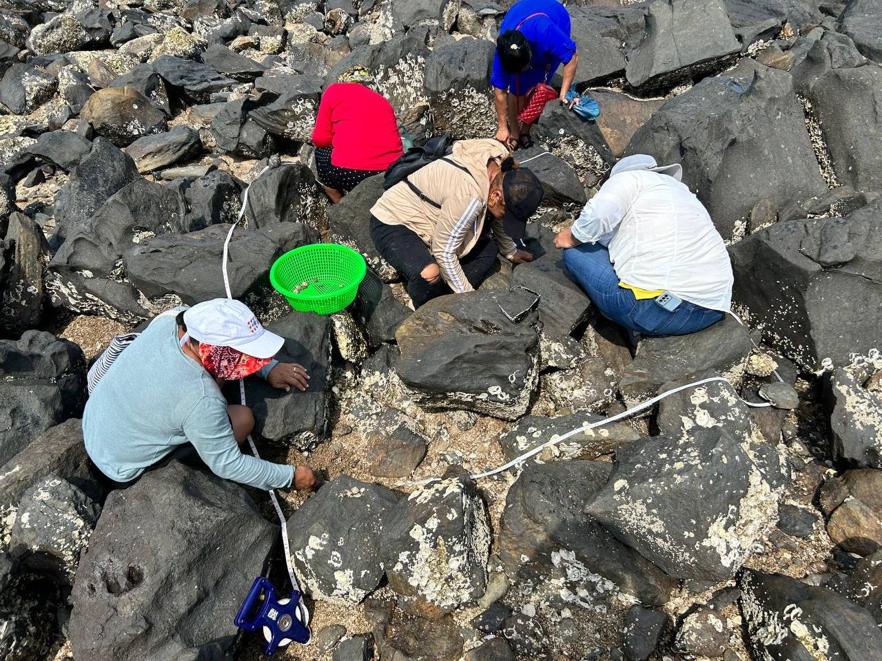 Nuevo proyecto: mejora de la sostenibilidad de la actividad marisquera en el sur de Honduras, fase 2