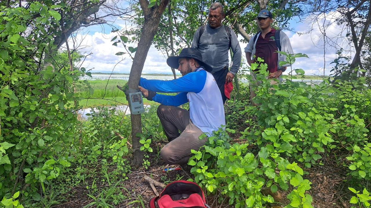 Monitoreo biológico en lagunas de invierno de Honduras y río Laure