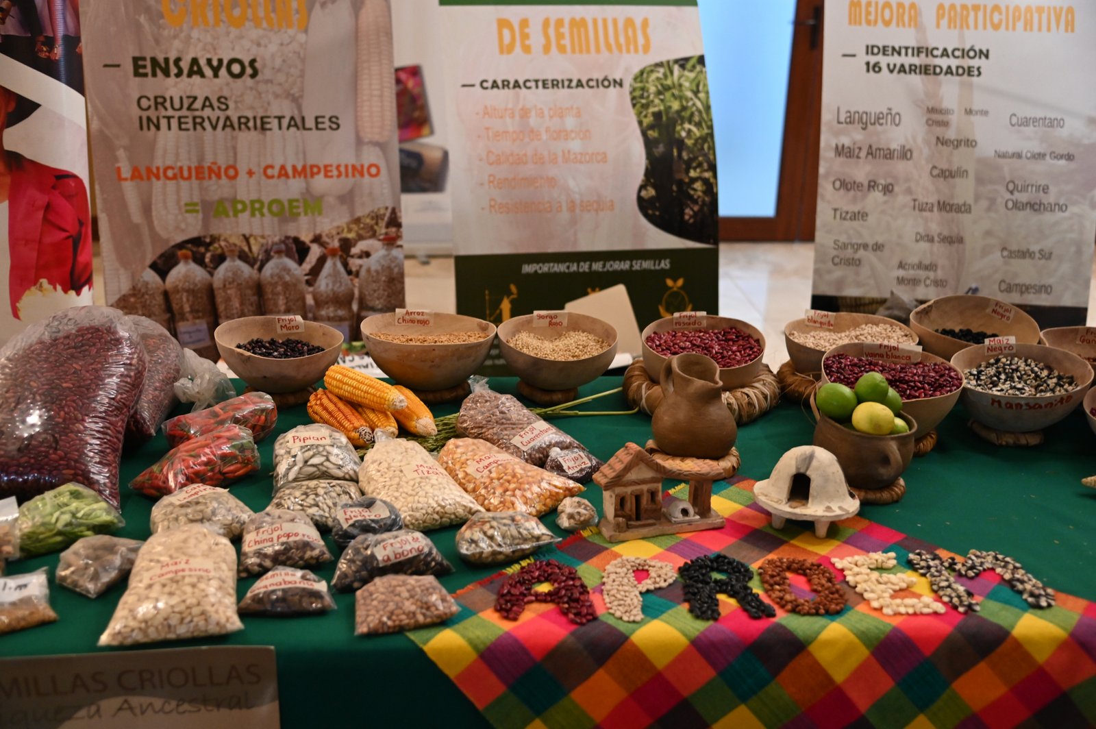 Últimas actividades del programa de mejora de la gobernanza para el derecho a la alimentación en Sur de Honduras 2018-2023