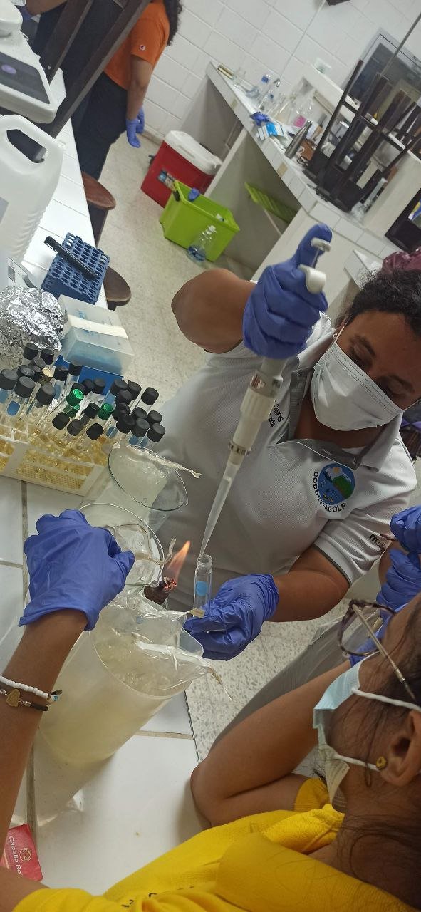 Crónicas de Honduras: Martina III