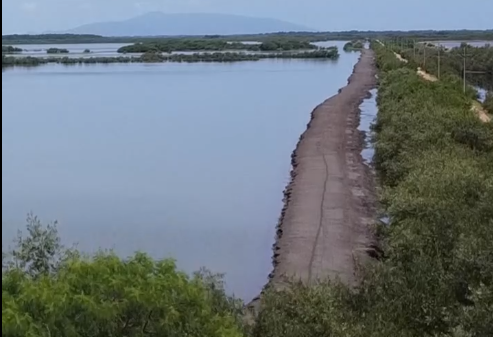 Avances en programa de restauración de Sistema Lagunar La Berbería y Jicarito